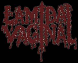 logo Lamida Vaginal